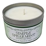 Our Own Candle Company Soy Wax Aromatherapy Scented Candle, Simply Spearmint, 6.5 Ounce