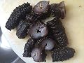 Dried Wild Sea Cucumber,å²©åˆºå‚(çŸ­åˆº),Holothuria Mammata, Grade AAAA (medium size) 1LB