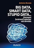 Big Data, Smart Data, Stupid Data... comment (vraiment) valoriser vos données: Comment (vraiment) valoriser vos données (Hors Collection) (French Edition) by