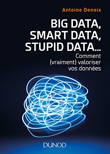 Big Data, Smart Data, Stupid Data... comment (vraiment) valoriser vos données: Comment (vraiment) valoriser vos données (Hors Collection) (French Edition) by Antoine Denoix