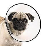 Top Performance Plastic Elizabethan Pet Collar, XX-Large, 14 to 20-Inch