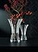 Nachtmann Saphir Collection, Crystal Vase, 8.3-Inch, Decorative Small Glass Vase for Flowers, Home Décor, and Centerpieces, Makes a Great Wedding, or Housewarming Gift, Clear