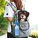 ANPETBEST Travel Water Bottle 325ML /11oz Water Dispenser Portable Mug for Dogs,Cats and Other Small Animals