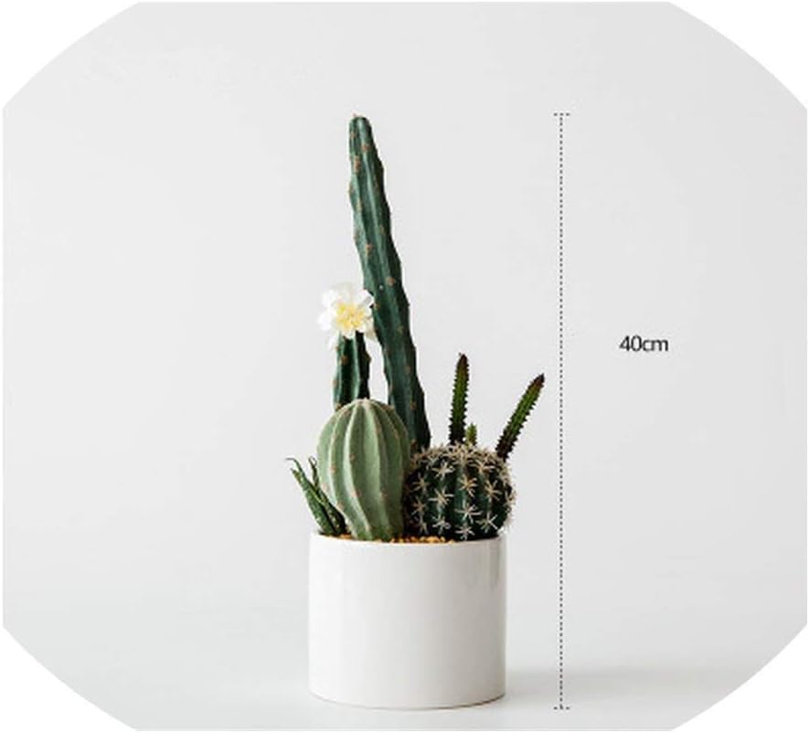 Amazon Com Artificial Succulents Greenery 40cm Start Cactus Ball Bonsai Home Decoration Fake Plants Cactus Decoracion Succulents And Cactus Plants Hlms 002 Home Kitchen