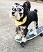 Dog Goggles to Protect Eyes - Stylish Dogs UV Sunglasses for Small to Medium Breed - White