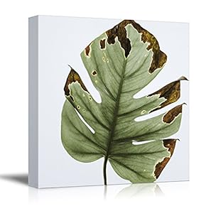 Square Canvas Wall Art - Giant Tropical Plant Leaf - Giclee Print Gallery Wrap Modern Home Art Ready to Hang - 12x12 inches