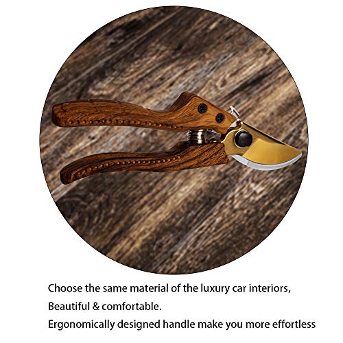 Oara SK-5 Steel Hand Pruners for Garden, Garden pruners Shears, Pruning Shears Garden, Garden Shears Clippers for Plants, Clippers for Garden Work