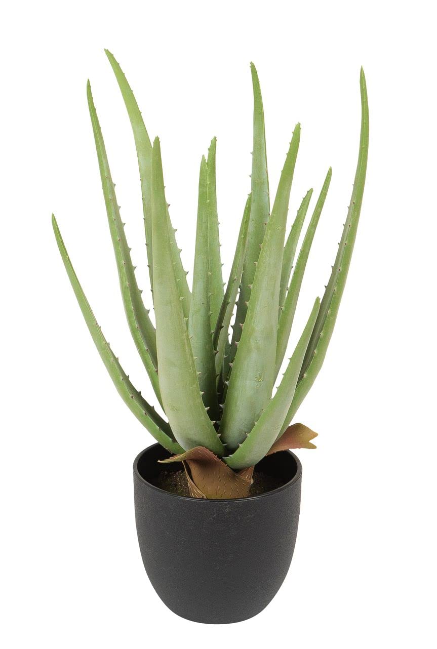Fiebiger Floristik Artificial Plant Artificial Plastic Green Plant for Decorative Living Room Home Balcony Office Aloe Vera in Pot Approx. 38 cm