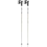 LEKI Detect S Ski Poles | Lightweight, Aluminum, For Downhill Skiing