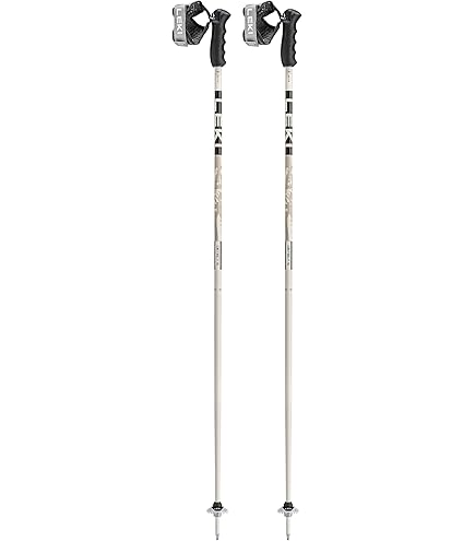 Amazon.com : LEKI Haute Route 2 Aluminum Adjustable Lightweight