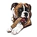 Nylabone Healthy Edibles WILD Antler Natural Long Lasting Venison Flavor Dog Chew Treats Medium/Wolf (10 Count)