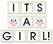 Baby Shower Banner - IT’S A GIRL - Garland Baby Shower Decoration, Photo Booth Props - Owl-Stylish Contemporary Design from Bambini & Me