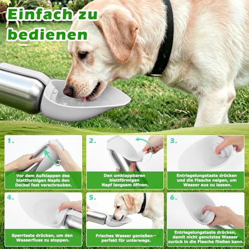 Nepfaivy Dog Water Bottle for On the Go Stainless Steel 800 ml - Leak-Proof Dog Drinking Bottle for On the Go with Push Button, Portable Water Bottle for All Dogs for Travel, Hiking and Camping, White