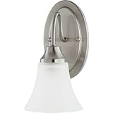 Sea Gull Lighting 41806-962 Holman One Wall/Bath Vanity Style Lights, Brushed Nickel