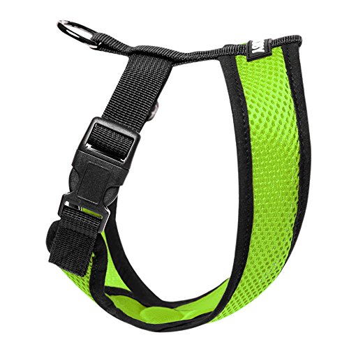 Gooby Choke Free X Frame Soft Harness with Micro Suede Trimming for Small Dogs, Medium, Green
