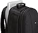 Amazon Basics DSLR Camera and Laptop Backpack Bag (Black Exterior and Gray Interior)