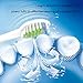 Replacement Brush Heads Compatible with Philips Sonicare Electric Toothbrush,DiamondClean, HealthyWhite, FlexCare,EasyClean, Essence +, PowerUp by Bernito,8 Pack