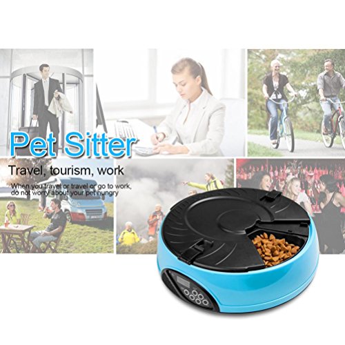 Cheap Pet Feeder Balakie 6 Meals Programmable Timer Portion