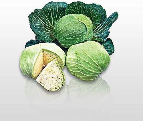 amazon brassière femme