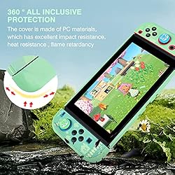 DLseego Protective Case Design for Switch