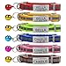Custom Breakaway Cat Collars with Bell - Engraved Stainless Steel No Noise Slide-On Identification Tags On Collar - Up to 3 Lines of Personalized Text (Reflection)