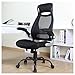 OWLN Ergonomic High Back Mesh Office Chair with Adjustable Headrest and Armrest Desk Chair