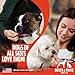Rocco & Roxie Jerky Dog Treats Made in USA Healthy Treats for Potty Training High Value Real Meat Slow Roasted Snacks for Small, Medium & Large Dogs & Puppies Soft Chews, 1 Pound (Pack of 1)