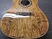 Fender T-Bucket 300CE Cutaway Acoustic-Electric Guitar - Spalted Maple Limited Edition