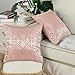 CaliTime Pack of 2 Throw Pillow Covers Cases for Couch Sofa Home Decor Vintage Shining & Dull Contrast Cross Flowers Trellis Geometric Figure 18 X 18 Inches Dusty Pink