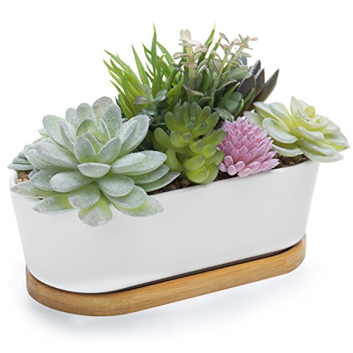 MyGift Assorted Artificial Succulent Plant Arrangement Potted in White