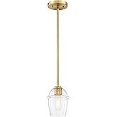 DESIGNERS FOUNTAIN Summer Jazz 60 Watt 1-Light Brushed Gold Transitional Pendant Light Fixture with Clear Glass Shade, D310M-