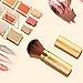 Lomezi Blush Brushes Retractable Kabuki Brushes Portable Travel Blush Makeup Brushes With Cover for Makeup Blush Powder Foundation Cream