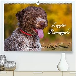 Lagotto Romagnolo Italienischer Truffelhund Premium Hochwertiger Din A2 Wandkalender 2021 Kunstdruck In Hochglanz Amazon De Starick Sigrid Bucher