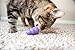 KONG Kitty KONG & Stuff'N Easy Treat Salmon Combo, Cat Toy