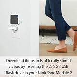 Tizomi 256GB USB Flash Drive for Blink Sync Module 2 Local Video Storage Mount view 5