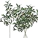 SUPLA 5 Pack Artificial Olive Branch Spray Plants Houseplant Olives Fruit Plants Greenery UV Resistant Plants 28.3