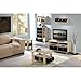 Furinno Coffee Table with Bins, Steam Beech/Black