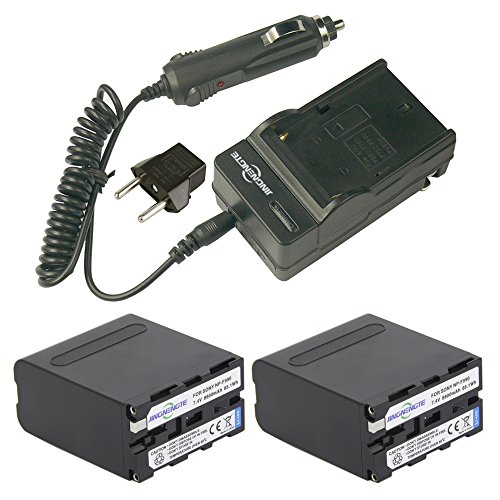 JINGNENGTE High Capacity 8800mAh 2x NP-F990 Battery and 1xTravel Home Charger Adapter for Sony DCM-M1 MVC-CD1000 HDR-FX1 NEX-FS700RH HXR-NX3 Expanded as NP-F750 NP-F770 NP-F550 NP-F960 NP-F970
