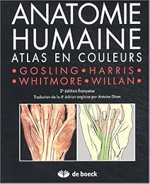 Anatomie humaine