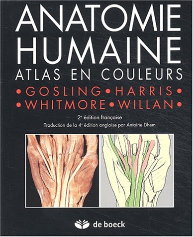 Anatomie humaine