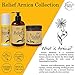 Relief Plus Arnica Muscle Oil – All Natural Highly Concentrated Roll On - Cypress, Eucalyptus & Helichrysum Essential Oils & Menthol for Sore Muscles, Aching Joints by Brookethorne Naturals