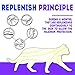 KEXMY Cat Tick and Flea Collar – Cat Flea Treatment – 8 Months Flea Control and Protection for Cats – Adjustable & Waterproof Cat Collar – 100% Natural Essential Oils That Kill and Repel Fleasthumb 3