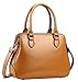 Heshe Womens Shoulder Bag Tote Cross Body Purse Satchel Handbags