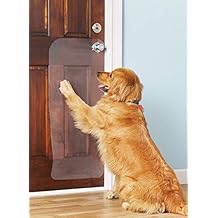 scratching door dogs guard