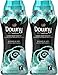 Downy Infusions in-Wash Scent Booster Beads, Botanical Mist, 19.5 Ounce (Pack of 2)