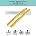 PURITY BRUSH - Miswak Toothbrush for teeth whitening, fights bad breathe, reduce nicotine cravings, antibacterial, 100% biodegradable, eco-friendly. (Includes 2 Peelu Miswak & 1 Holder)