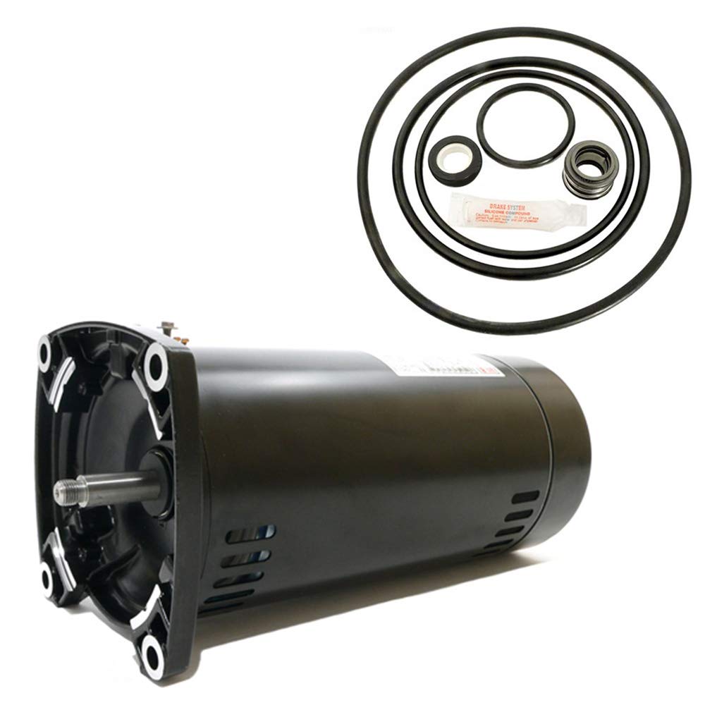 Puri Tech Sta-Rite Dyna-Max 1.5HP MPEA6F-148L Replacement Motor Kit AO Smith USQ1152 w/GO-KIT-47