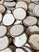 Wood Slices 20 Small - 1.5