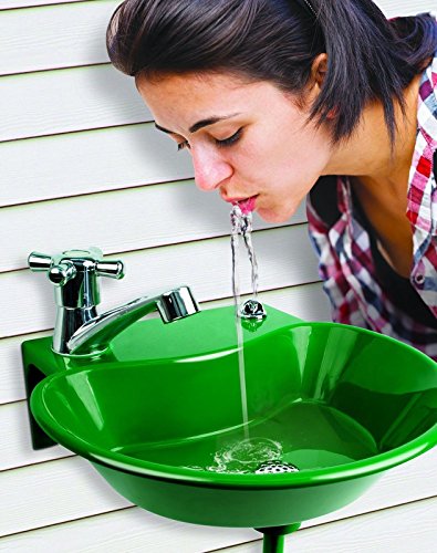 2 in 1 Outdoor Sink and Drinking Fountain Sprayer Small Garden