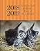 2018 2019 15 Months Kitten Daily Planner: Academic Hourly Organizer In 15 Minute Interval; Cat Front Cover; Appointment Calendar With Address Book & Notes; Monthly & Weekly Goals Journal With Quotes by ZenWerkz